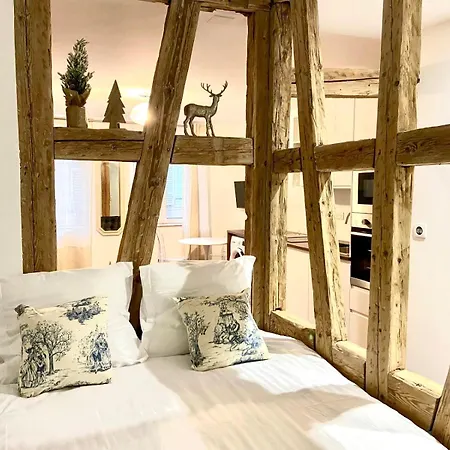 Cathedrale Apartmán Štrasburk