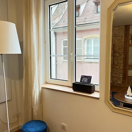 Cathedrale דירה שטרסבורג