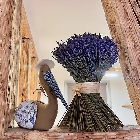 Appartement Cathédrale