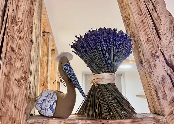 Appartement Cathédrale